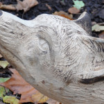 Carved Green Oak Fox - Detail